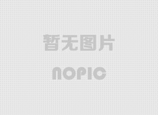 螺栓球節點鋼網架安裝施工關鍵技術